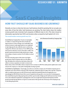 How fast should your SaaS Business be growing