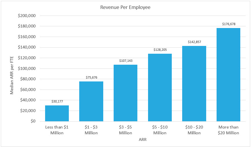 2022 Revenue Per Employee Benchmarks for Private SaaS Companies