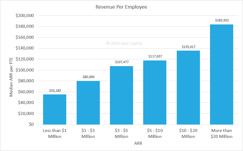 2023 Revenue Per Employee Benchmarks for Private SaaS Companies