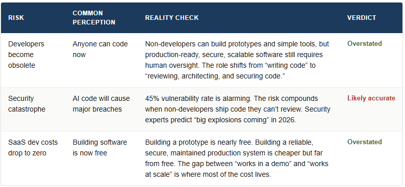 Vibe Coding - Risk Assessment