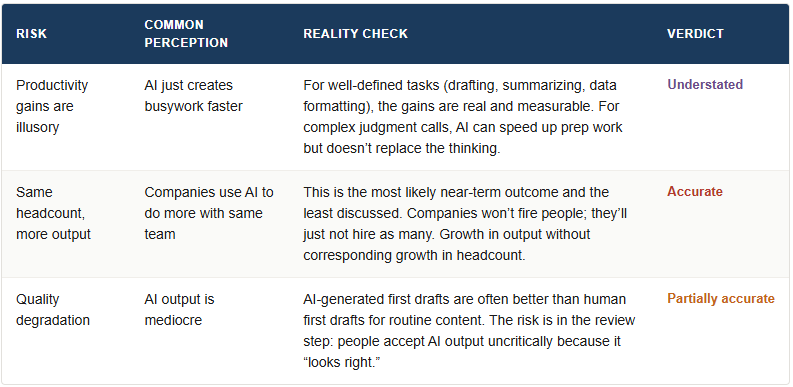 AI-Enhanced Productivity - Risk Assessment