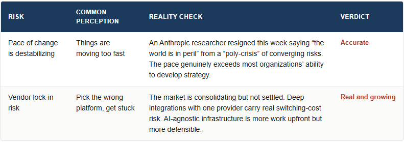 The AI Arms Race - Risk Assessment